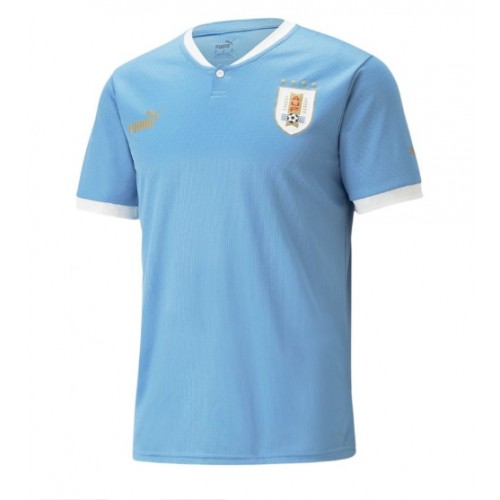 Uruguay Replica Home Stadium Shirt World Cup 2022 Short Sleeve